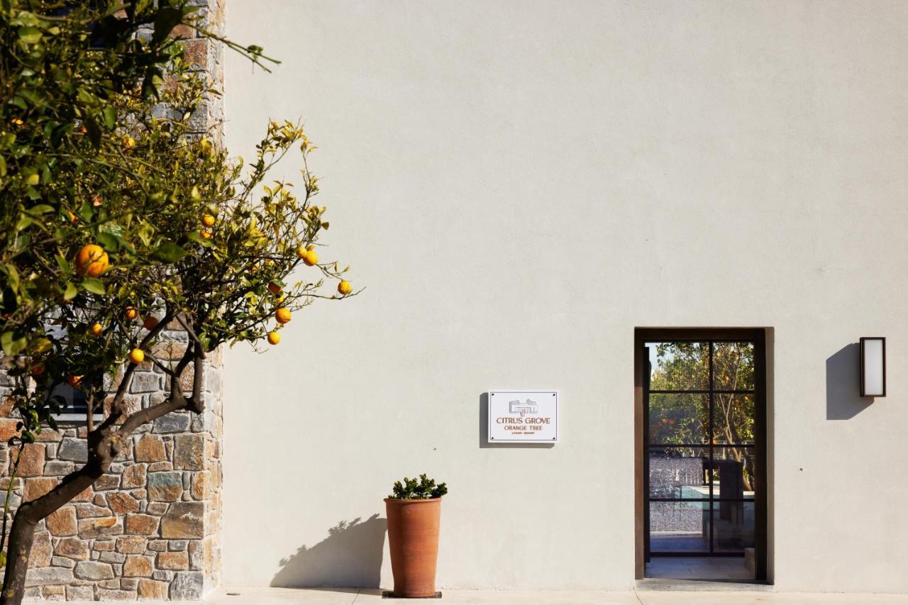 Citrus Grove Luxury Villas Skaleta Exterior photo